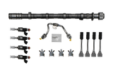 Hondata L15b Fuel System Upgrade Kit